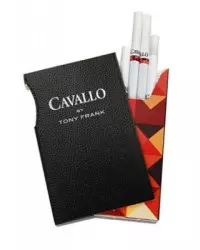 Cavallo by Tony Frank Sigara