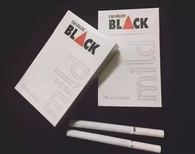 Djarum Black Mild Sigara