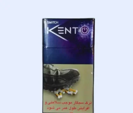 Kent Switch Touch Blueberry Sigara